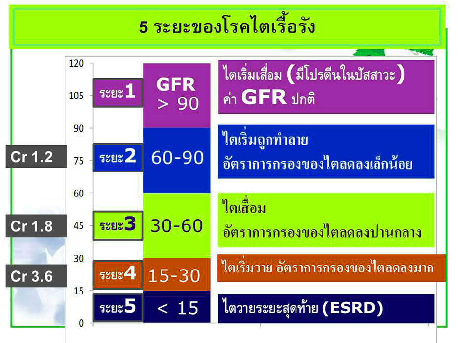 ติดต่อผู้เชี่ยวชาญ